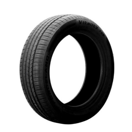 PNEU ARO 17 205/55 R17 95W - FORCELAND VITALITY F22 XL